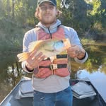 Anthony Chadwick Jr. - @chad.wick_24 - Instagram