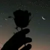 𝓐𝓷𝓽𝓱𝓸𝓷𝔂 𝓒𝓛𝓚 - @anthony_chaka_la - TikTok