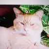 anthonychalker6 - @anthonychalker6 - TikTok