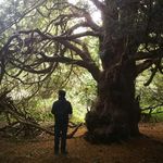 Anthony Chalmers - @anthonyleechalmers - Instagram