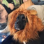 Anthony Chalut - @chalu64 - Instagram