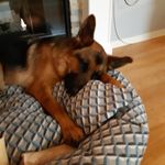 anthony Chamberlin - @chamberlin.anthony - Instagram