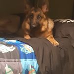 Anthony Chamberlin Fezatte - @anthonychamberlinfezatte - Instagram