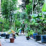 Anthony Chao - @chaoanthony04 - Instagram