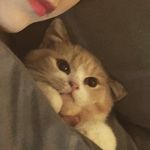 Anthony Chao - @anthony.chao.503 - Instagram