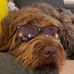 Tony Charameda - Facebook