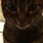 Anthony  Chirco - @the_migit0519 - Instagram