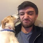 Anthony Cifone - @aacifone - Instagram