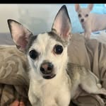 Renzo Anthony Cione - @thatboiirenzo - Instagram