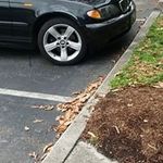 Anthony Cirri - @anthonycirri - Instagram