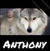 Anthony Cleary - Facebook