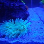 anthony close - @tonycloseukreef - Instagram