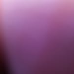 Anthony cocco - @gmdgacocco - Instagram