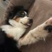 Anthony Colyer - Facebook