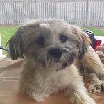 Anthony Kyle Conlon - @anthonykyleconlon - Instagram