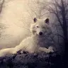 Anthony Connors - @anthonyconnors74 - TikTok