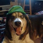 Anthony Coons - @maxxchuppy82 - Instagram