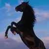 Anthony Coronado - @anthony.coronado78 - TikTok