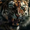 anthonycoughlin - @anthonycoughlin - TikTok