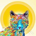 Anthony Coyle - @m0nki_ - Instagram