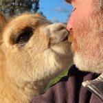 Anthony Crane - @craney75 - Instagram