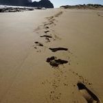 Anthony Crouch - @anthonycrouch9 - Instagram