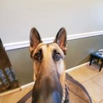 Anthony Cundari - @antonybalony5 - Instagram