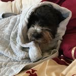 Anthony Curtis - @anthony.curtis.37201901 - Instagram