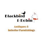 Anthony John Cutting - @blackbird_and_robin_2020 - Instagram