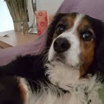Anthony Darcy - @anthony.darcy.71 - Instagram