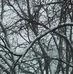 Anthony Darfler - Facebook