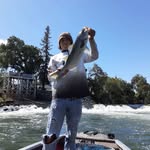 Anthony Delavega - @anthony__delavega - Instagram
