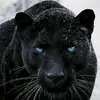 Anthony Delavega - @anthony.delavega6 - TikTok