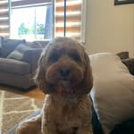 Anthony Deleon - @anthonydeleon2709 - Instagram
