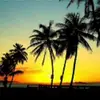 Anthony_deleon - @anthony_deleon - TikTok