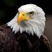 Anthony DeLuca - Facebook