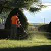 Anthony Detri - @detris.landscaping - TikTok
