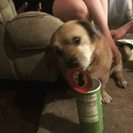 Anthony Devens - @awesomesauce158 - Instagram