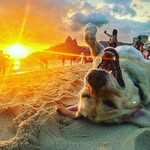 anthony devincent - @cum.spiting.velociraptor - Instagram
