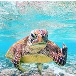 anthonydevivo - @fishermananthony - Instagram