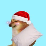 Anthony Devoll - @anthonydevoll38779 - Instagram