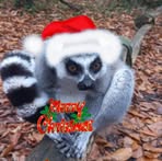 Anthony Devos - Facebook