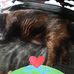 Anthony Dewese - Facebook
