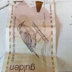 Anthony De Windt - @ajdewindt1 - Instagram