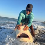 Anthony Dexter - @dexsharks - Instagram