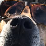 Anthony Allen - @anthony_dibble1971 - Instagram