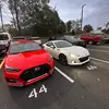 anthonydibiasee - @anthonydibiasee - TikTok