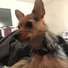 Anthony DiCesare - @anthony.dicesare2 - TikTok