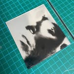 Anthony Dickenson - @anthonydickenson.art - Instagram