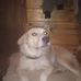 Anthony Dicus - Facebook
